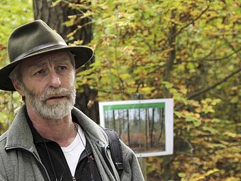 Förster Erwin BIttermann erklärt den Mitgliedern des Stadtrates Ebermannstadt die Grundprinzipien einer naturnahen Waldbewirtschaftung. Foto: Josef Hofbauer
