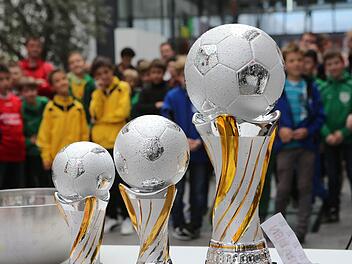 Da stehen sie, die Objekte der Begierde. Am Samstag ist es endlich soweit: Im Fuchs-Park-Stadion in Bamberg wird der erste Mini-Weltmeister gekürt. Foto: Matthias Hoch