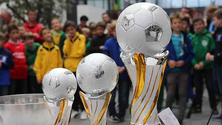 Da stehen sie, die Objekte der Begierde. Am Samstag ist es endlich soweit: Im Fuchs-Park-Stadion in Bamberg wird der erste Mini-Weltmeister gekürt. Foto: Matthias Hoch