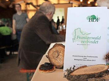 Unter dem Motto "Frankenwald verbindet" wurde das Gebiet als "Wald des Jahres 2017" ausgezeichnet.  Fotos: Ronald Heck