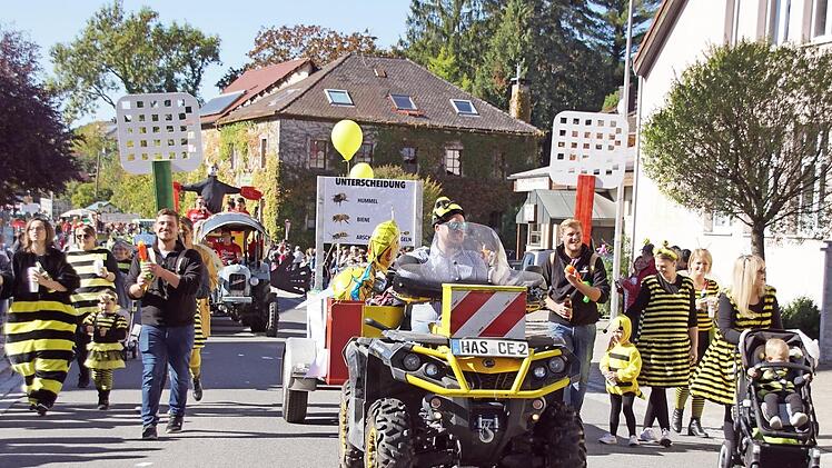 Die Wespenplage des Sommers nahm diese Gruppe beim Untersteinbacher Kirchweih-Umzug aufs Korn.
