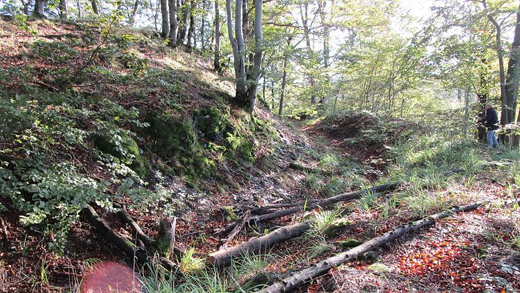 Auf dem Schlossberg bei Wolfersgrün, im Lamitzgrund zwischen Langenau und Thiemitz, erinnern nur noch Ringwälle und Grabenreste an die Burg Hohenrod.