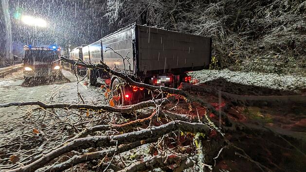 Feuerwehr, umgest&uuml;rzte Baume, B26, Vollsperrung