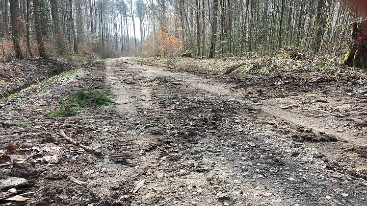 Nicht mehr für reguläre Fahrzeuge geeignet - die GVS im Wald zwischen Scheßlitz und Peulendorf. Foto: Anette Schreiber
