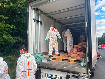 Bad Br&uuml;ckenau: Fleischlaster kippt in Graben - aufwendige Bergung