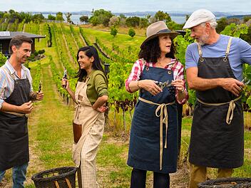 Trügerische Idylle: Kapitän Parger (Florian Silbereisen, links), Schiffsärztin Dr. Delgado (Collien Fernandes, zweite von links), Hoteldirektorin Hanna Liebhold (Barbara Wussow) und Staff-Kapitän Martin Grimm (Daniel Morgenroth) versuchen sich in Neuseeland als Winzer. Nur: Warum geraten Hanna und Martin auf dieser Reise immer wieder in Streit?