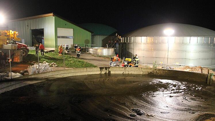 Foto: News5 / Fricke
