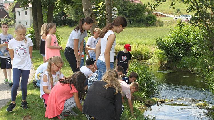 Überall könnte ein Meteorit liegen. Foto: Carmen Schwind