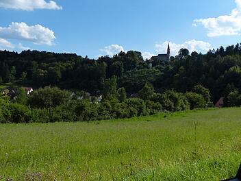 Der Wald bei Wüstenstein  Foto: privat