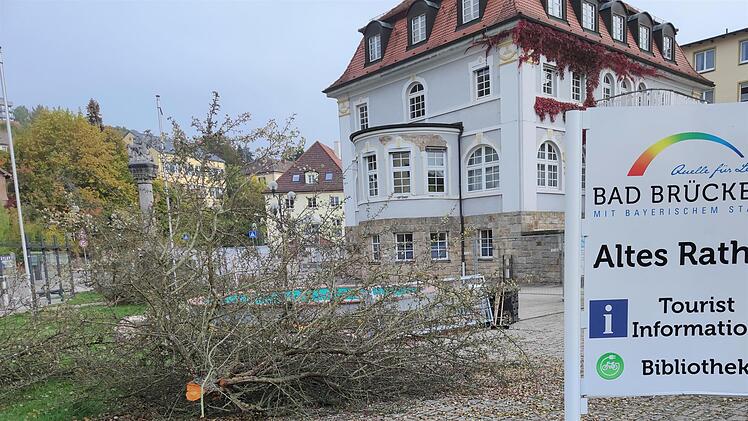 Vergangene Woche fällte der städtische Bauhof alle Bäume rund um das alte Rathaus. Foto: Julia Raab