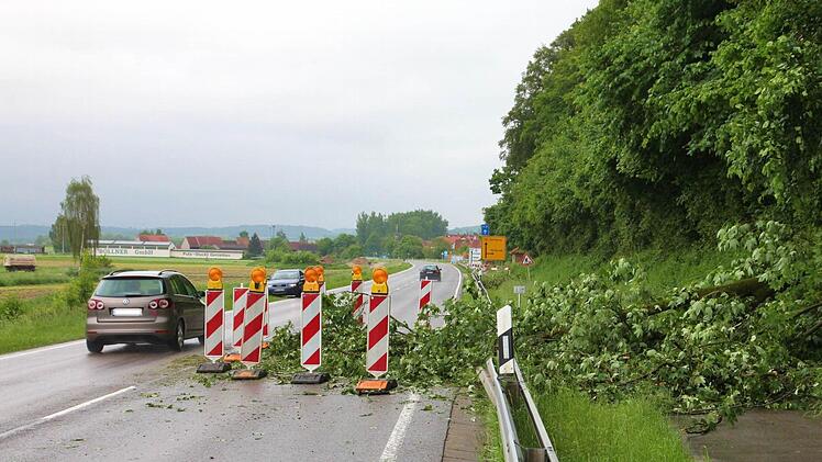 Bei Roßstadt ist ein Teil der Fahrbahn unbefahrbar, weil ein Baum auf Radweg und Straße gestürzt ist.