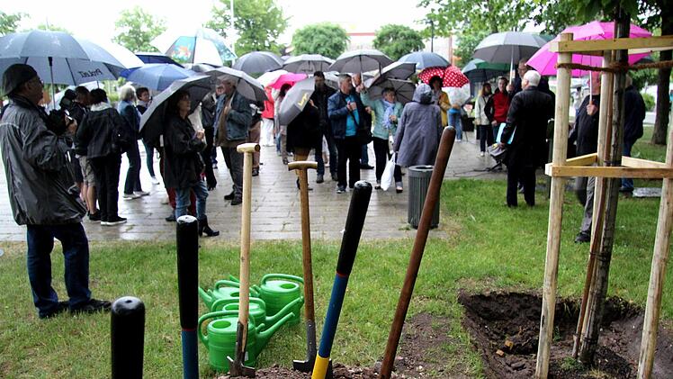 Foto: Richard Sänger