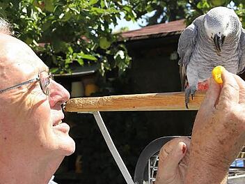 Leckerli nimmt Coco gerne von Harry Bohl an, manchmal fragt er danach.  Foto: Helmut Will