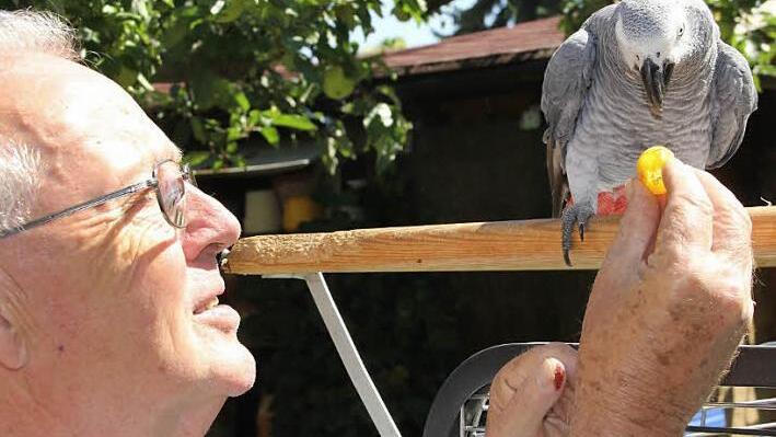 Leckerli nimmt Coco gerne von Harry Bohl an, manchmal fragt er danach.  Foto: Helmut Will