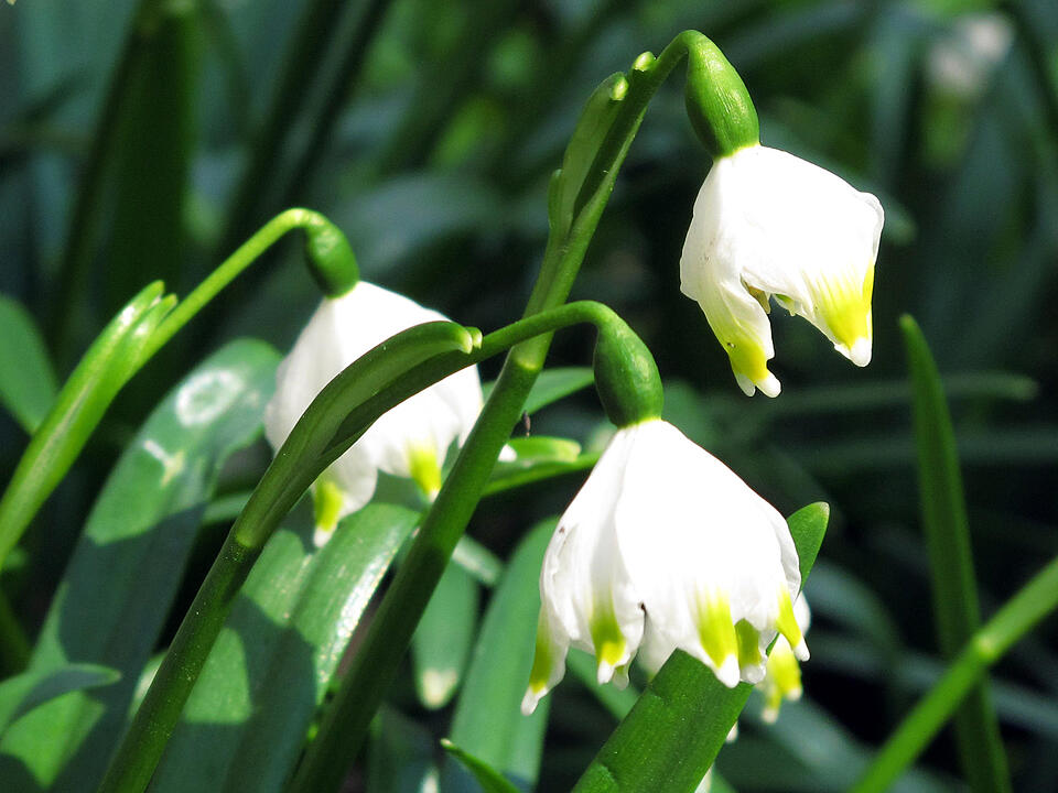 Fotos Konrad Thomann