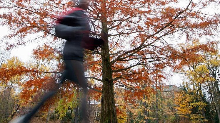 Eine 16-Jährige ist beim Joggen in Aschaffenburg von einem unbekannten Radfahrer belästigt worden. Die Kripo bittet um Zeugenhinweise. Symbolbild: dpa