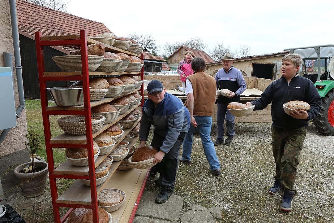 SoS Oberfellendorf im Lkr. Forchheim; Foto: Barbara Herbst