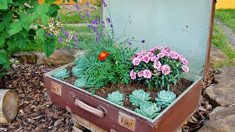 Eindrücke vom Tag der offenen Gartentür. Foto: Sigismund von Dobschütz