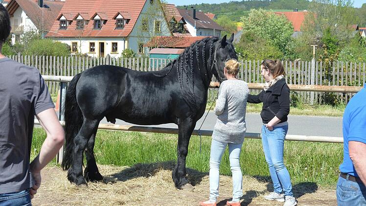 Foto: Ronald Rinklef
