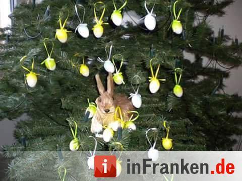 Weihnachten in Franken: Die Christbäume unserer Leser