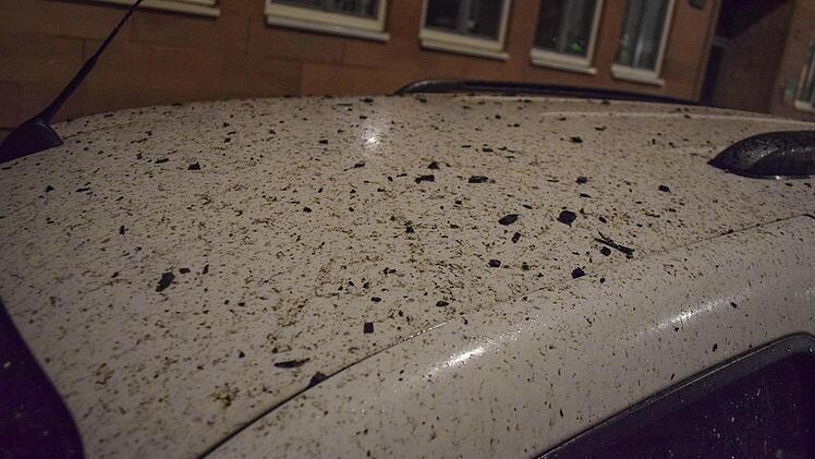 Foto: News5 / Klein