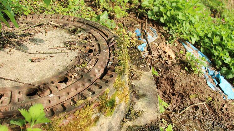 Jahrzehntealter Hausmüll quillt aus der Böschung der stillgelegten Deponie bei Lonnerstadt. Die Frage, die es zu klären gilt, ist: Wie gefährlich ist das Sickerwasser, das mit giftigen Stoffen belastet ist? Foto: Christian Bauriedel