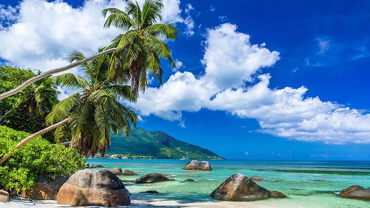 Foto: Simon Dannhauer, adobe stock