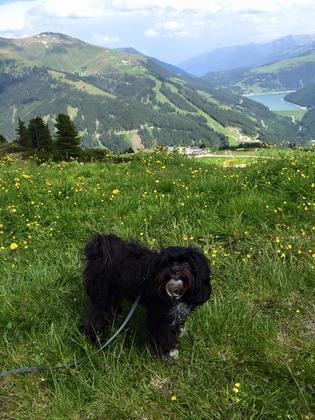 Foto: Vanessa Stalf