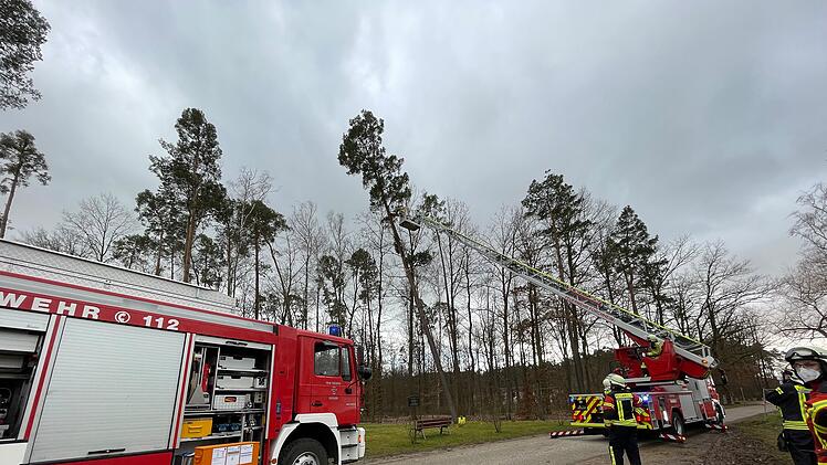 Forchheim: Sechs Feuerwehreinsätze aufgrund von Orkanböen