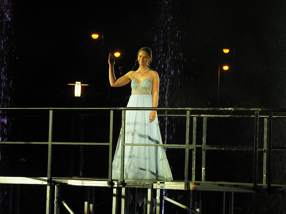 Eine Lichtshow mit Wasser, Feuer, Nebel und Musik im Rosengarten, die historische Pers&ouml;nlichkeiten ehrt.