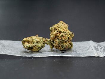 Streit um Cannabis-Legalisierung