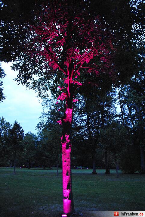 Impressionen der Museumsnacht Coburg