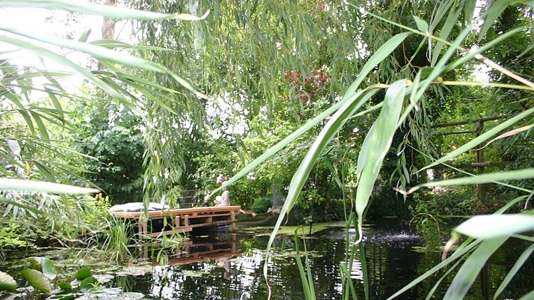 Der Gartenteich aus anderer Perspektive. Foto: Martin Rebhan
