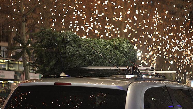 Landratsamt Bamberg gibt Tipps für den sicheren Christbaum-Transport