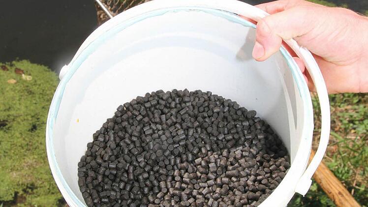 Mit Trockenfutter werden die Karpfen und Forellen jeden Tag gefüttert.