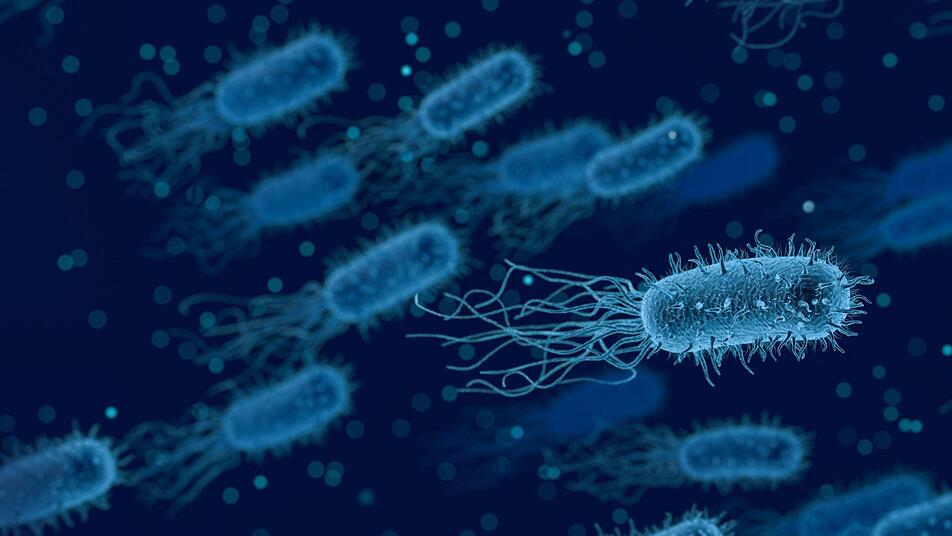 Clostridium Bakterium Gefahrlicher Krankenhauskeim Hartnackiger Als Gedacht