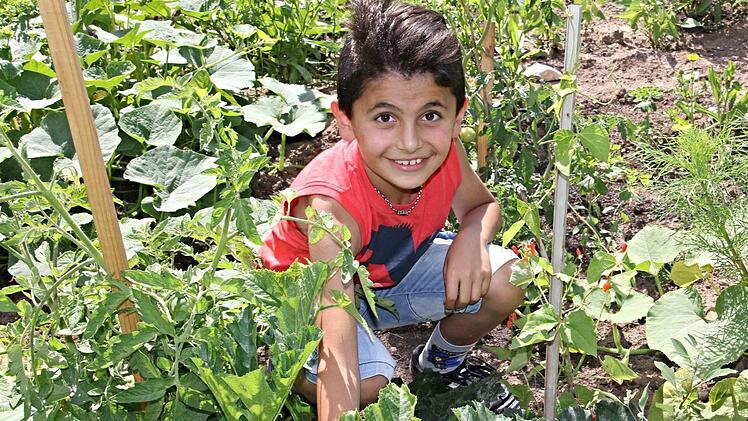 Wer ein Gärtner werden will, muss beizeiten anfangen. Der zehnjährige Wesam Youssef hat offensichtlich Freude daran und zeigt "seine Pflanze", die er manchmal gießt. Foto: Helmut Will