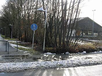 Gezählt sind die Tage des Fuß- und Radwegs auf der ehemaligen Bahnstrasse mit angrenzendem Baum- und Strauchbestand. Das Gelände und die frühere Aldi-Verkaufsstelle (rechts) werden für das Projekt Rewe Frischemarkt benötigt.  Foto: Klaus Oelzner