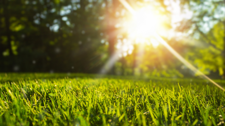 Mit einem Mähroboter wird das Rasenmähen zum Kinderspiel, da er selbstständig arbeitet und Zeit spart.