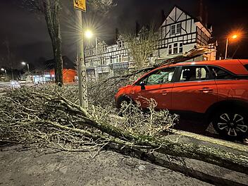 Sturm «Isha» - Belfast