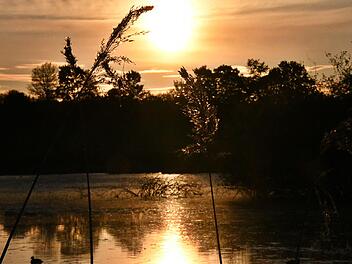 Die Gräser wiegen sich im Wind und die untergehende Sonne spiegelt sich im Bibersee bei Großwenkheim. Foto: Hanns Friedrich