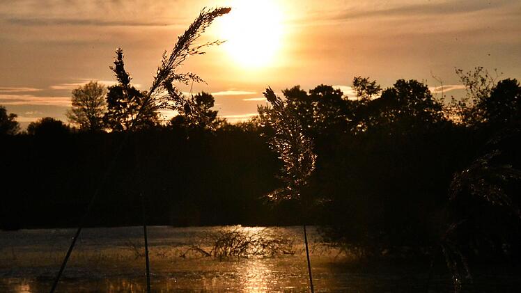 Die Gräser wiegen sich im Wind und die untergehende Sonne spiegelt sich im Bibersee bei Großwenkheim. Foto: Hanns Friedrich