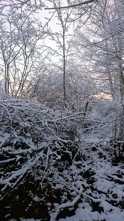 Schnee und Eis - Die schönsten Aufnahmen aus Franken