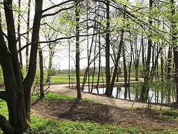 Die Uferbereiche an den beiden entschlammten Teichen im Ketschendorfer Schlosspark wird sich nach und nach die Natur zurückerobern. Fotos: Ulrike Nauer