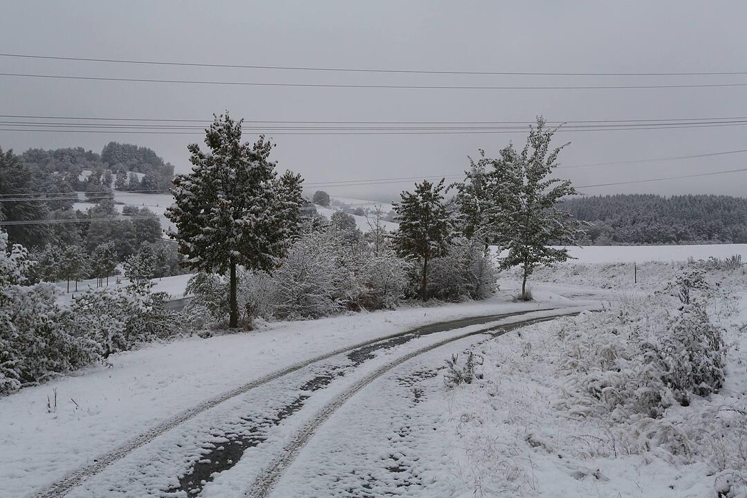 Erster Schneefall in Oberfranken