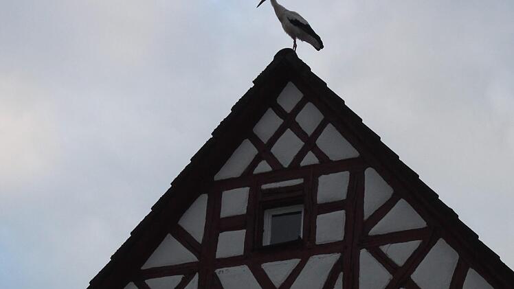 Foto: Heinrich Kattenbeck