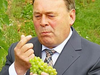 Im September 2013 eröffnete der bayerische Landwirtschaftsminister Helmut Brunner die fränkische Weinlese am Abt-Degen-Steig.  Foto: PR