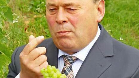 Im September 2013 eröffnete der bayerische Landwirtschaftsminister Helmut Brunner die fränkische Weinlese am Abt-Degen-Steig.  Foto: PR