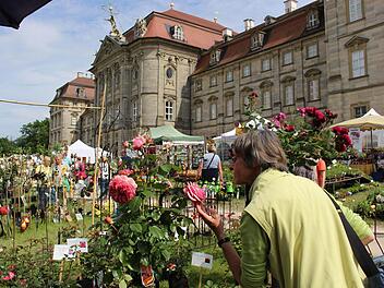 Rosen betörten durch ihr Aussehen und ihren Duft auch die Besucher der Gartenmesse. Foto: Evi Seeger