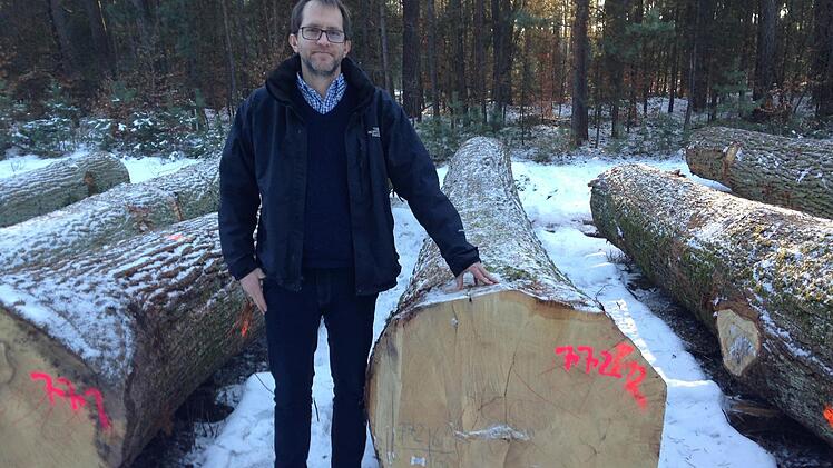 Ralf Keller (l.) präsentiert den teuersten Stamm, die sogenannte Braut. Foto: Carmen Schwind